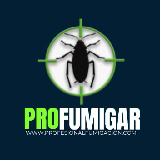 cropped-FA119EB7-3669-4C19-B45B-C83CBBF43CDE.png