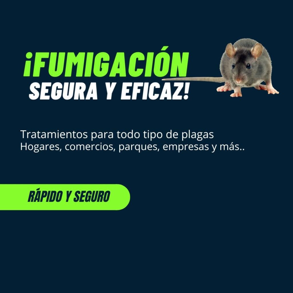 Fumigación de Ratas en Berazategui